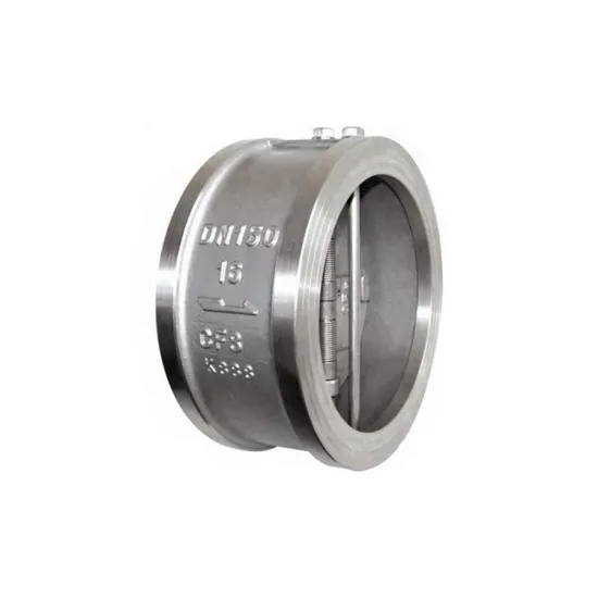 Taike China Manufacturer Cast iron Cast Steel Stainless Steel Clip Check Valve