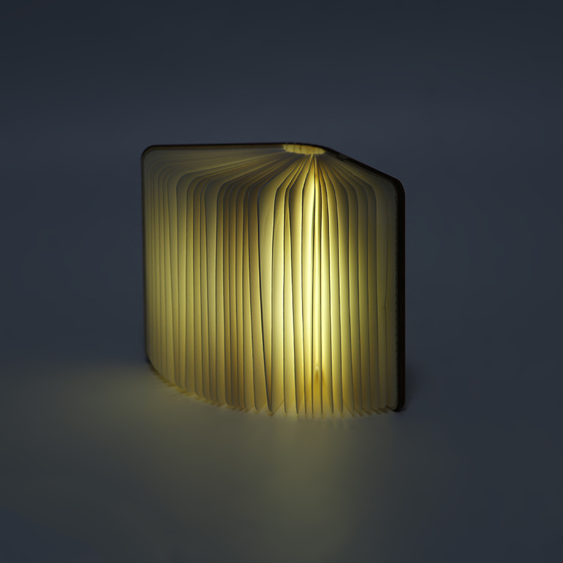 Portable Reading Book Lamp