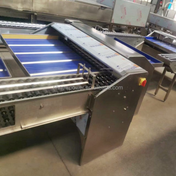Automatic Chicken Egg Grading and Salty Duck Egg Sorting Machine for Sale