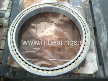 Sl04 180 Pp Cylindrical Roller Bearings 