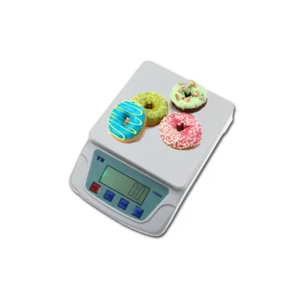 Ts200 Digital Weigh Electronic Postal Scale 10kg/0.5g 22lb