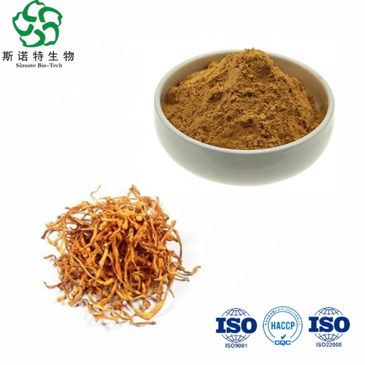 Cordyceps Militaris استخراج المكملات الغذائية الألياف