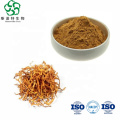 Cordyceps Militaris Extract Fiber Suplementos nutricionales