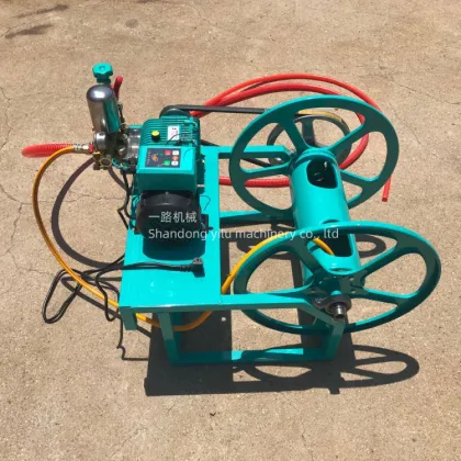 Pushcart Insecticidal Sprayer 100L Agricultural Gasoline Spraying Machine