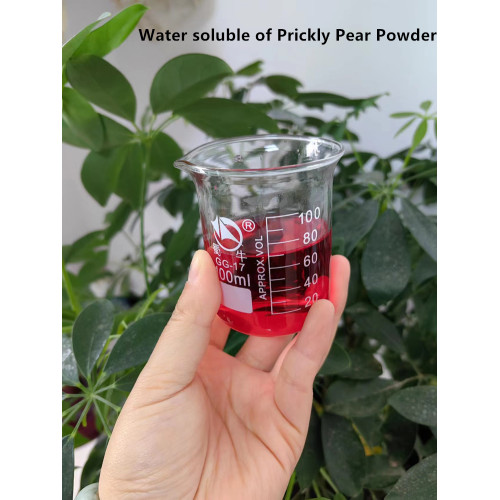 Water Soluble Fresh Cactus Fruit Powder