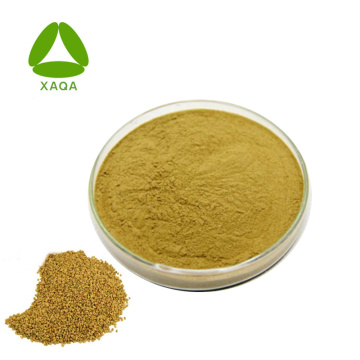 Fenugreek Seed Extract 4-Hydroxyisoleucine 1% Powder