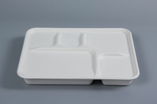 5 compartment shallow tray from sugarcane