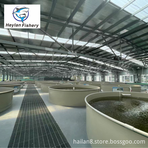 Customized Indoor/Outdoor Industrial Fish Farm Shrimp RAS Recirculating Aquaculture System