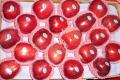 Red Delicious Huaniu Apple met de beste kwaliteit