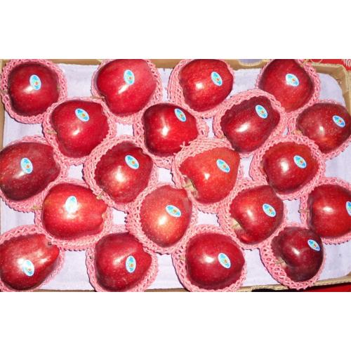 Red Delicious Huaniu Apple საუკეთესო ხარისხის