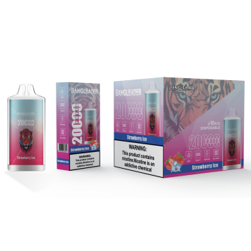 BANG LEADER 20K Puffs Vape Wholesale Poland