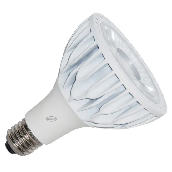 Wholesale COB 30W LED Lamp Bulb 3000K 4000K 6000K PAR30 Spotlight for Clothing Store
