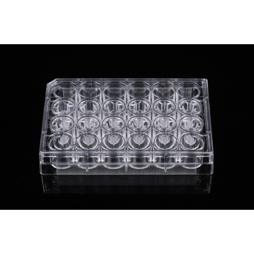 Pet Memberane Cell Culture Inserts สำหรับแผ่น 24 หลุม