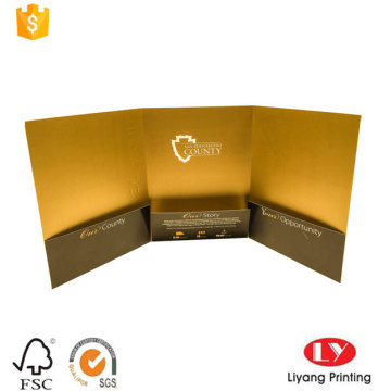 Nouă sosire Custom Office Paper File Folder