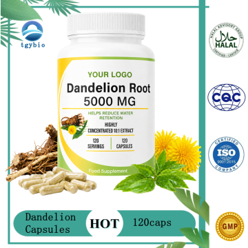 Dandelion Root Extract Capsules Supplement for Water Balance & Body Cleansing detox