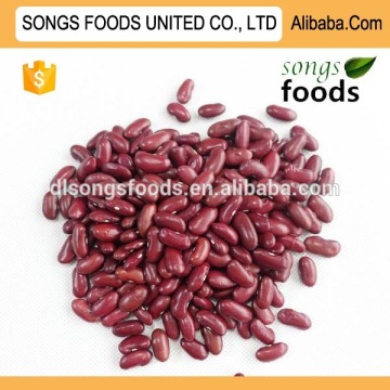 British type red kidney beans specification