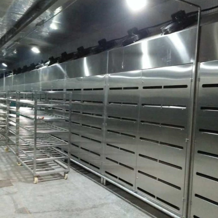 Small Industrial Defrosting Machine