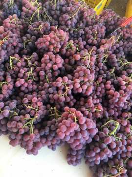 Fresh red delocious grape