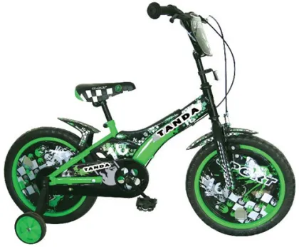 Bicycle Sport 16 Inch