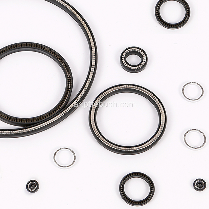 PTFE Material Spring Spring Sealized Seal