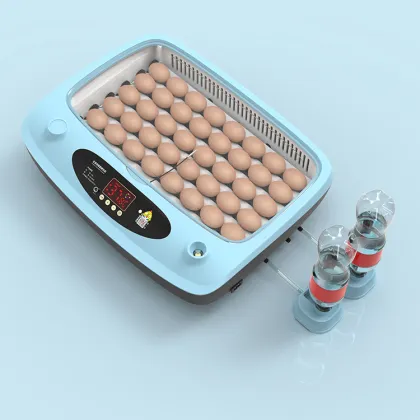 40 Capacity Incubator Egg Hatching Machine: Chicken Egg Incubator and Hatcher for Sale