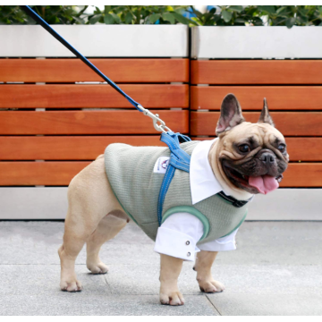 Suéter de mascota ropa de invierno caliente