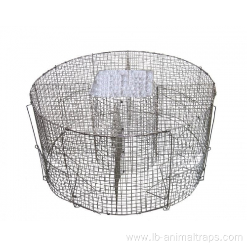 Wire Live Bird Traps Cage Pest Birds Traps