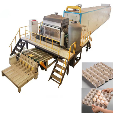 Eco-Friendly Paper Pulp Molding Machine for Automatic Egg Tray Production | 1000-6000 Pcs/Hour