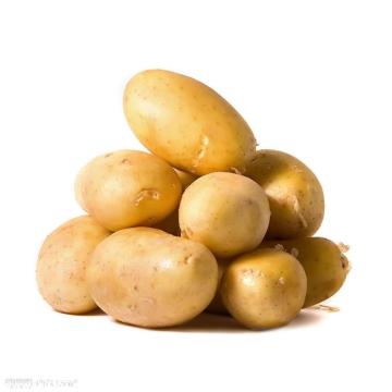 Fresh Potato Yellow Vegetables Delicious