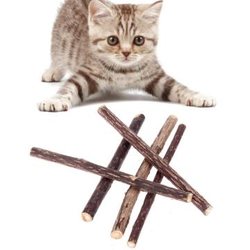 Kucing Mainan Makanan Asli Asli Asli