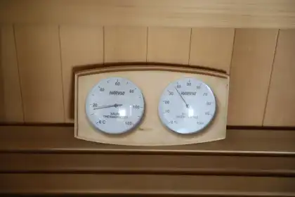 V Health Indoor Outdoor Wooden Steam Sauna with Hawiya Sauna Stove