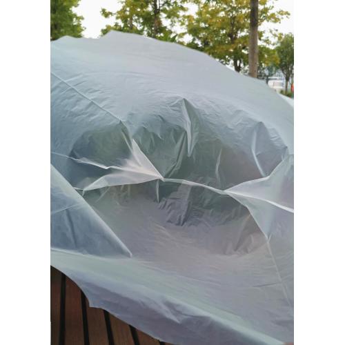 PLA Corn Starch Fruit Fruit Waterproof Shopping Bags