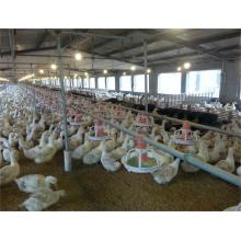 Pan feeder poultry(Layer feeding pan)