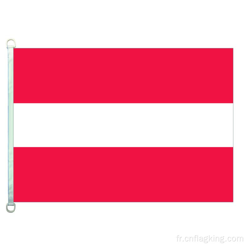 100% polyester 90*150CM bannière Autriche drapeaux Autriche