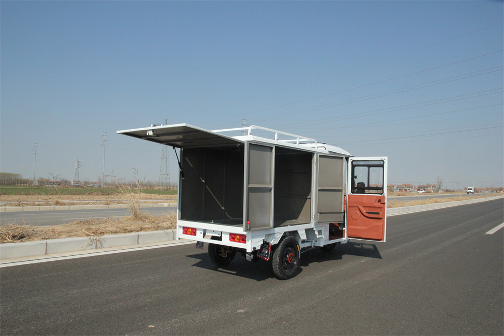 Cheap Fully Enclosed Large Space Adult Electric Tricycles
