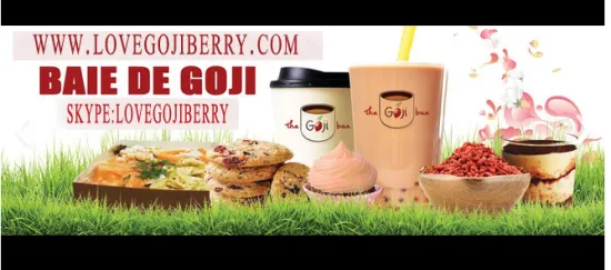 Factory supply dried organic goji berry best price