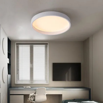 Latest Design Hot Sale LED Light Designer Ceiling Lamp Decor - New Arrival