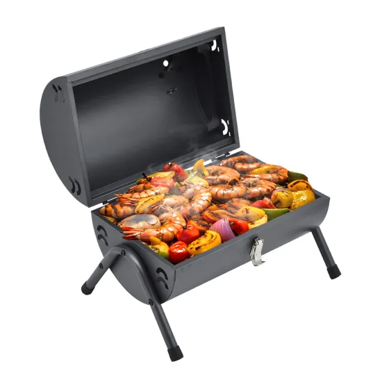 Portable BBQ Charcoal Grill: Perfect for Picnics and Small Gatherings