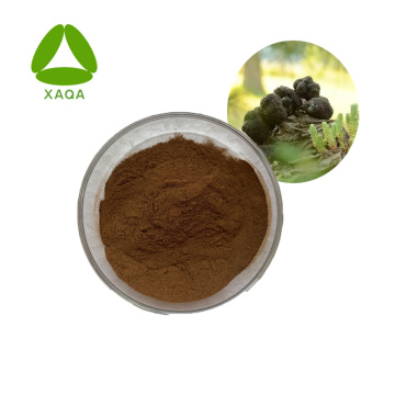 100% Natural Wild Black Truffle Mushroom Powder