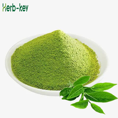 Té verde de té instantáneo matcha té verde