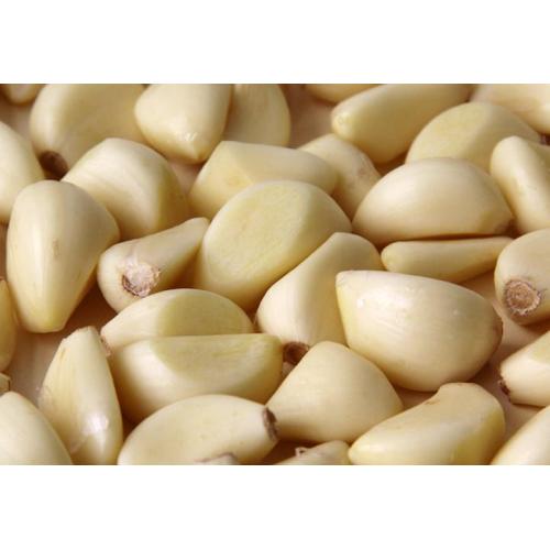 Taze Soyulmuş Sarımsak Dişleri 2025 Organik sarımsak