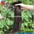 7A Brazilian Unprocessed Virgin Hair