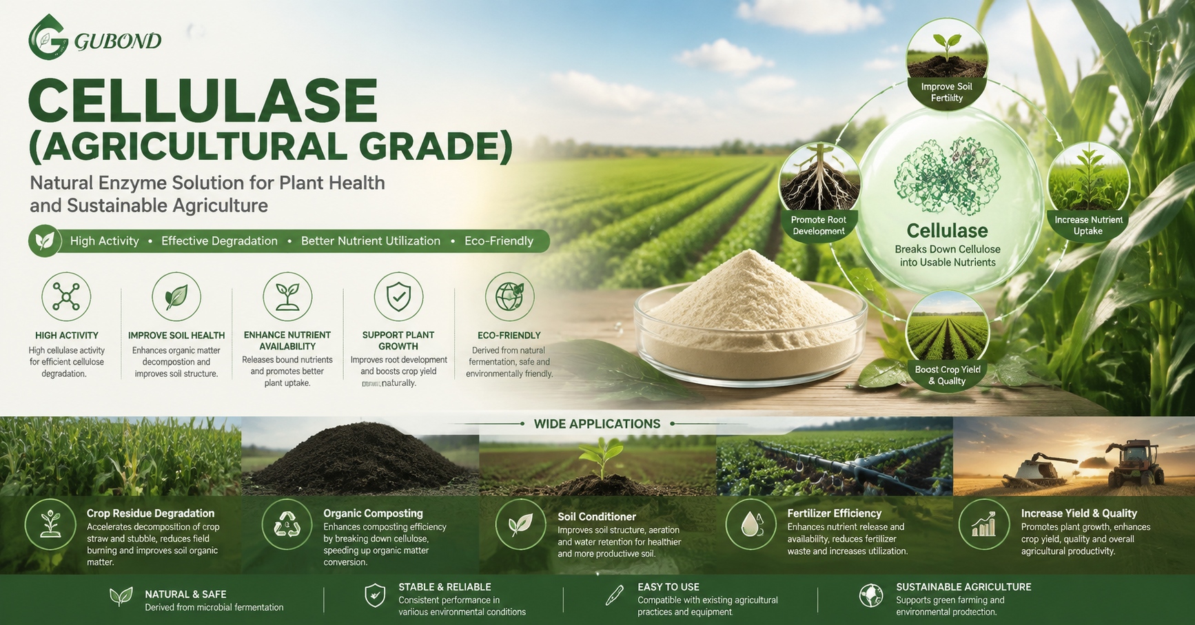 Cellulase (Agricultural Grade)