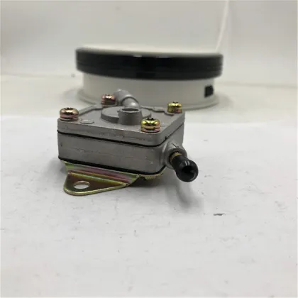 Fuel Pump for Hyosung United Motors FIT GT650 GT650 GV650 GT250R GV250 TE450S GT650R