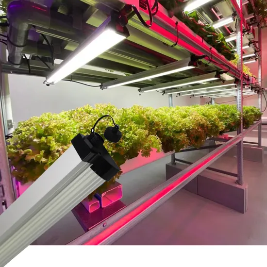 Horticulture Samsung SMD 2835 6400K 36W 3FT Indoor Grow Light for Plants