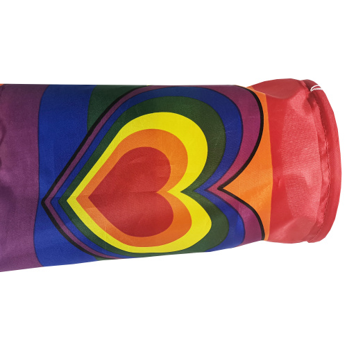Anpassad nationell flagga Wind Sock Rainbow Windsock