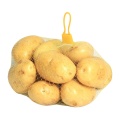 /msite/products/detail/productid/63183765/id/1516821.html