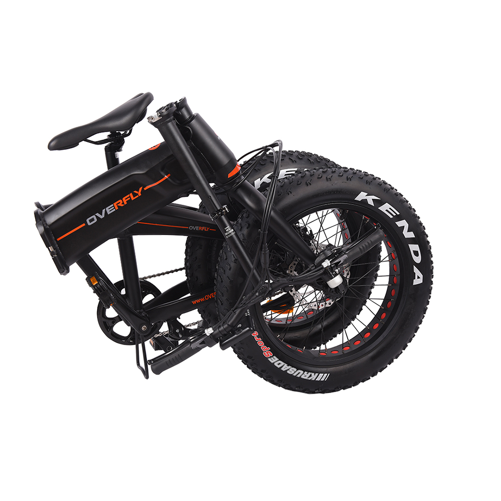 fat ebike