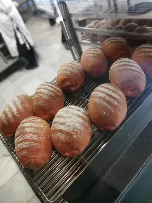 Single Phase 450c Pizza Maker Oven Biggest for Big Restaurant Commercial a 3 Decker Electric Pizza Oven Grondoy with Quality Assurance