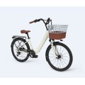 Lady Electric Bike 2 -Sitzer